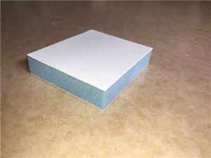 Pārklājuma sienu paneļu panelis